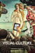 Visual Culture by Richard Howells, Joaquim Negreiros