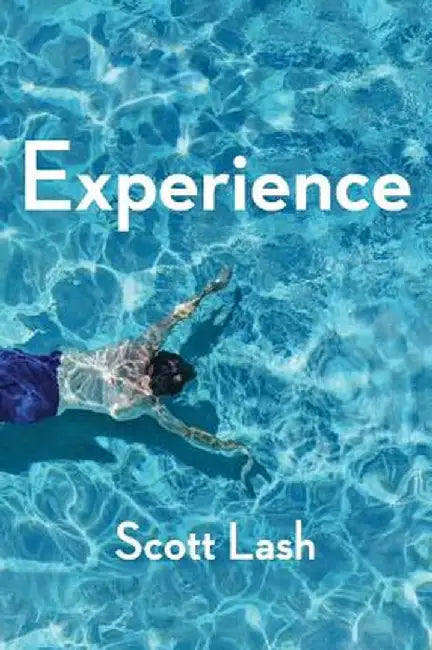 Experience: New Foundations for the Human Sciences by Scott Lash