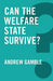Can the Welfare State Survive? by Andrew Gamble