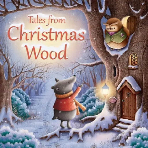 Tales from Christmas Wood by Suzy Senior