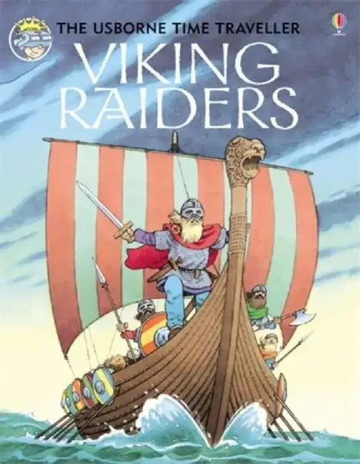 Viking Raiders by Anne Civardi