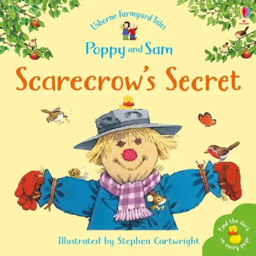 The Scarecrow's Secret by Heather Amery