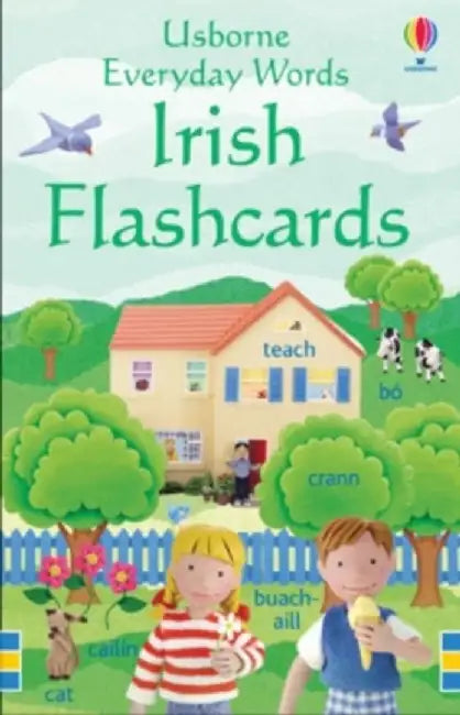Everyday Words in Irish Flashcards by Felicity Brooks