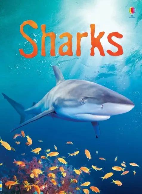 Sharks by Catriona Clarke