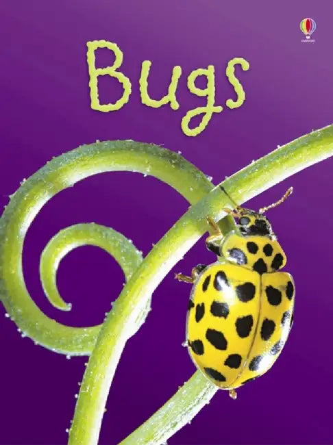 Bugs by Lucy Bowman