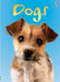 Dogs by Emma Helbrough