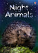 Night Animals by Susan Meredith