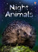 Night Animals by Susan Meredith