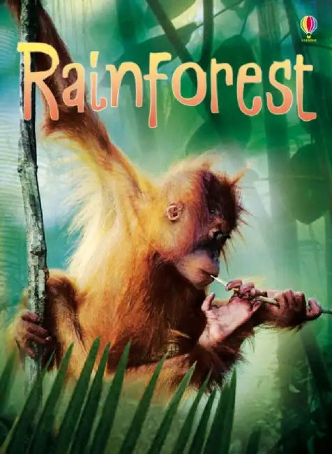 Rainforests by Lucy Bowman