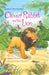 Clever Rabbit And The Lion by Susanna Davidson