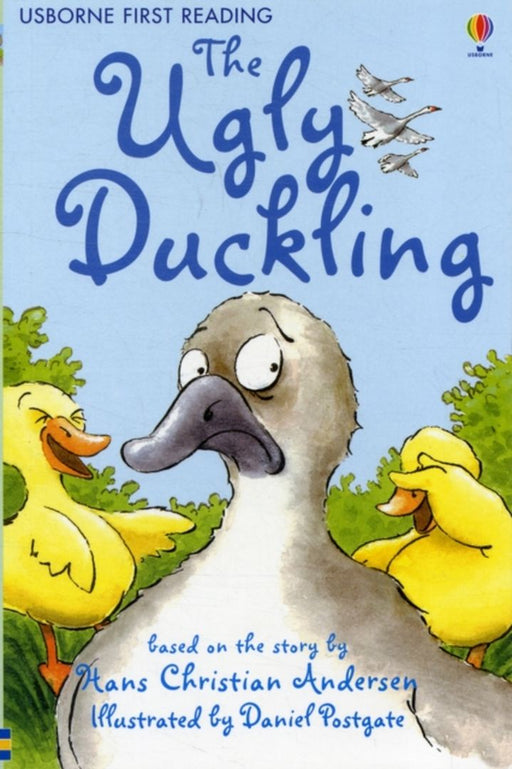 Ugly Duckling by Rachel Cusk