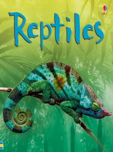 Reptiles by Catriona Clarke