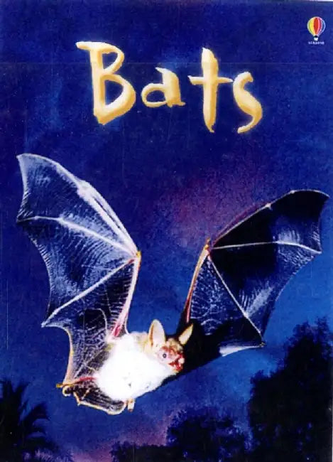 Bats by Megan Cullis