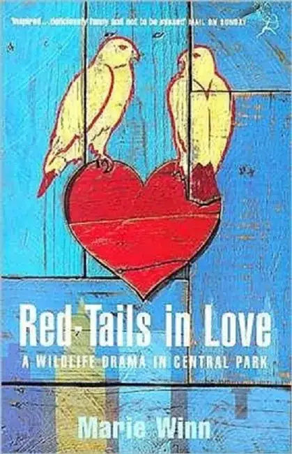 Red-tails in Love by Marie Winn