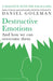 Destructive Emotions by Daniel Goleman