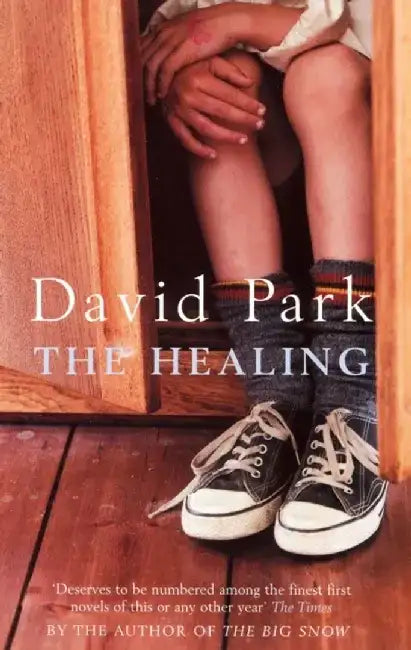 The Healing by David Park