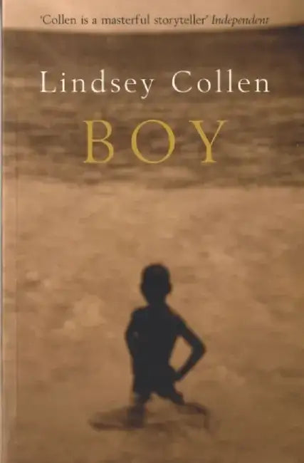 Boy by Lindsey Collen