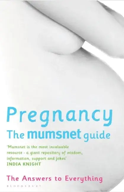 Pregnancy: The Mumsnet Guide by Mumsnet