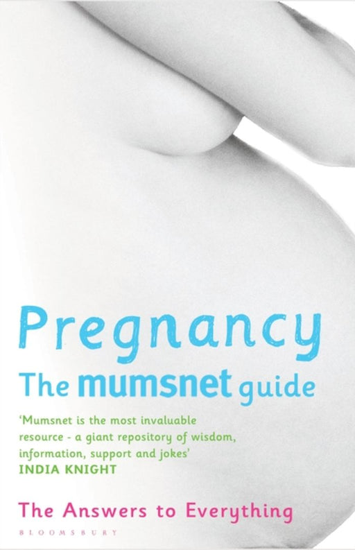 Pregnancy: The Mumsnet Guide by Mumsnet