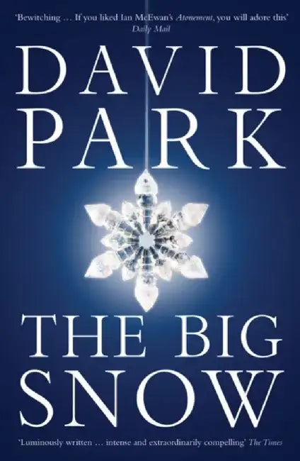 The Big Snow by David Park