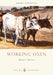 Working Oxen by Ralph Cudworth