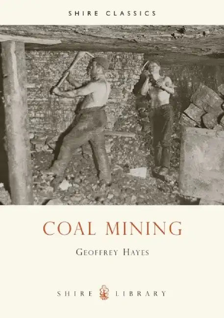 Coal Mining by Antoni Libera