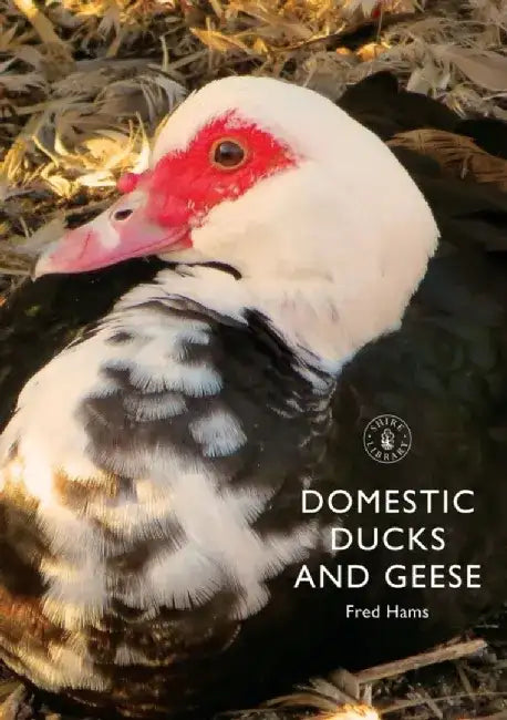 Domestic Ducks and Geese by Seth Godin