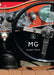 MG by William Wilson