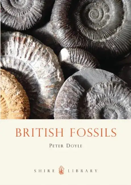 British Fossils by Arlene N.; Black, Beverly M. Weisz