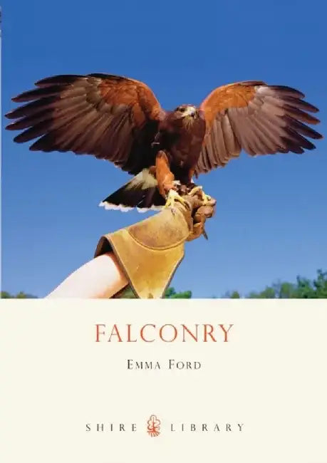 Falconry by Harry Anthony Patrinos