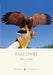 Falconry by Harry Anthony Patrinos