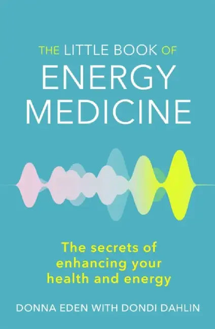 The Little Book of Energy Medicine by Donna Eden
