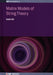 Matrix Models of String Theory by Badis Ydri