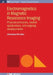 Electromagnetics In Magnetic Resonance Imaging by Christopher M Collins