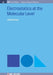 Electrostatics At The Molecular Level by Ulrich Zurcher