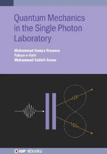 Quantum Mechanics In The Single Photon Laboratory by Muhammad Hamza Waseem