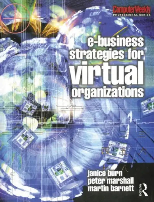 e-Business Strategies for Virtual Organizations by Janice Burn