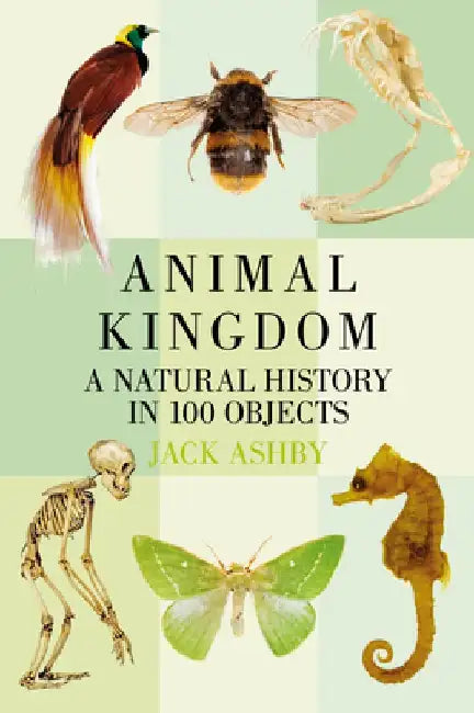 Animal Kingdom: A Natural History in 100 Objects by Jack Ashby