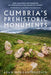 Cumbria's Prehistoric Monuments by Adam Morgan Ibbotson