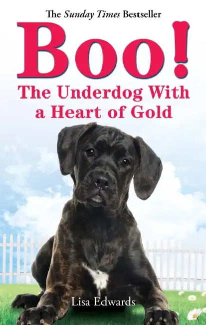 Boo!: The Underdog With a Heart of Gold by Clarence Taylor