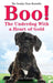 Boo!: The Underdog With a Heart of Gold by Clarence Taylor