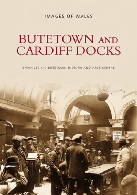 Butetown and Cardiff Docks by Brian Lee