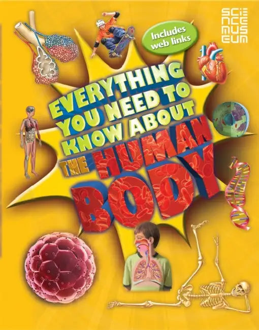 Everything You Need To Know About The Human Body by Patricia Macnair