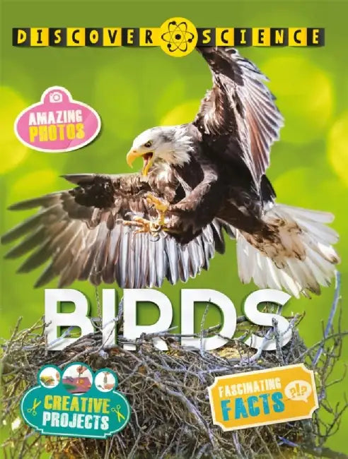 Discover Science: Birds by Kingfisher (individual)