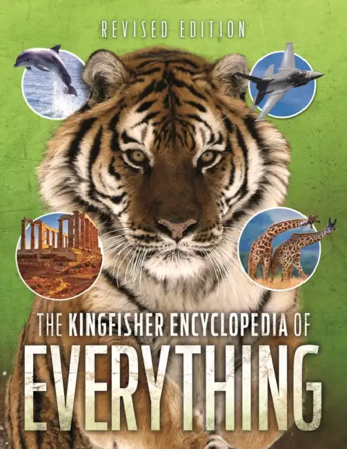 The Encyclopedia Of Everything by Kingfisher