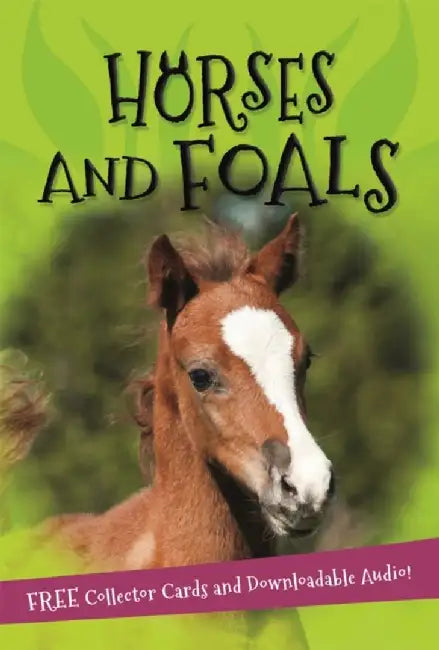It's all about... Horses and Foals by Kingfisher