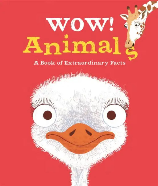 Wow! Animals by Jackie Mccann