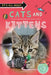 It's All About... Cats And Kittens by Kingfisher