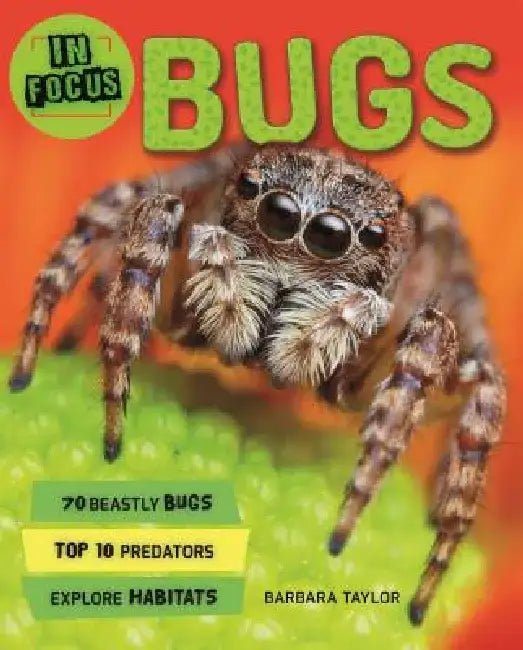 In Focus: Bugs by Kingfisher Books