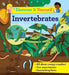 Discover It Yourself: Invertebrates by Sally Morgan